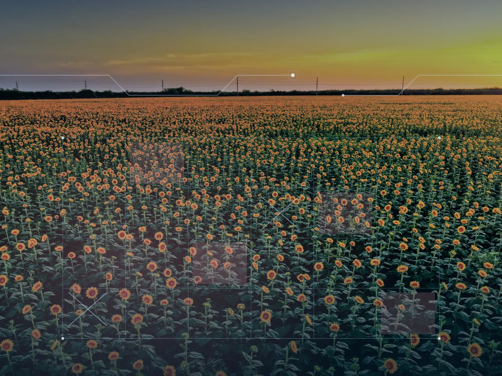 Enterprise Data Cleansing to Clear the Path for USDA's Cloud ERP Migration case study cover image